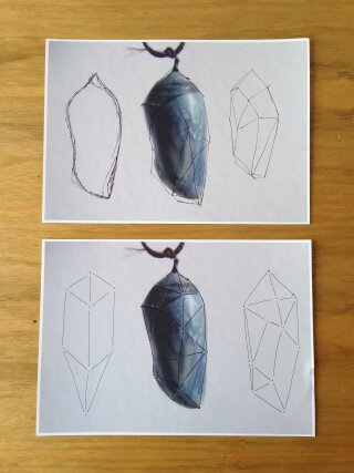 Geometric inspiration from the chrysalis of the monarch butterfly