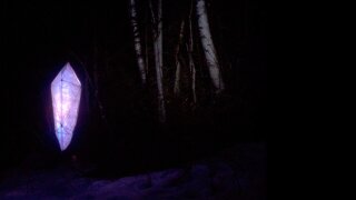 Chrysalis in the Canadian boreal forest at night
